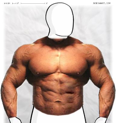 Muscle-ing up