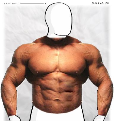 Muscle-ing up