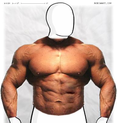 Muscle-ing up