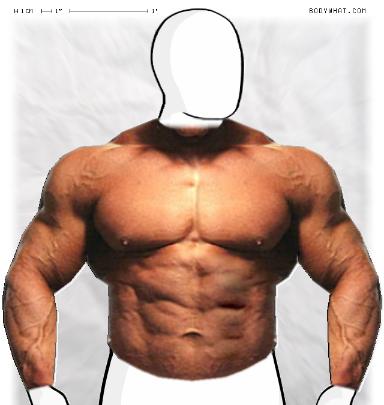 Muscle-ing up