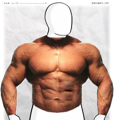 Muscle-ing up