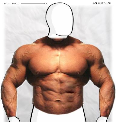 Muscle-ing up