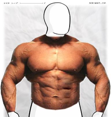 Muscle-ing up