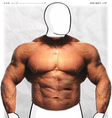 Muscle-ing up