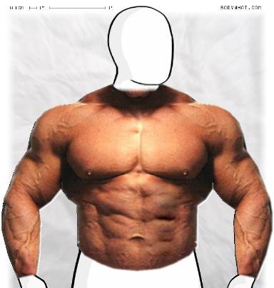Muscle-ing up