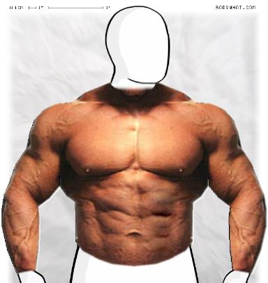Muscle-ing up