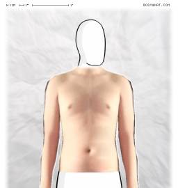 Torso