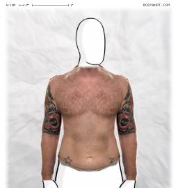 Torso