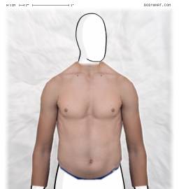 Torso