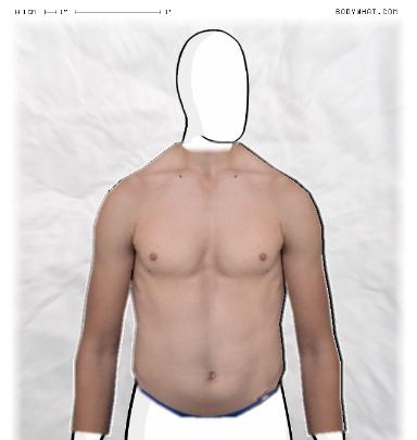Muscle Morphing