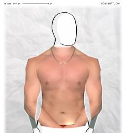 Torso