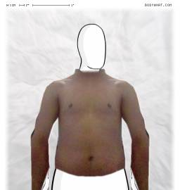 Torso