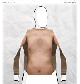 Torso