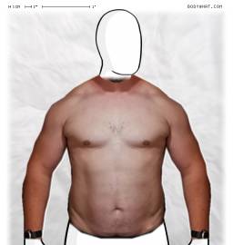 Torso