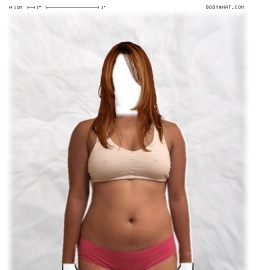 Torso