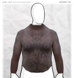Torso