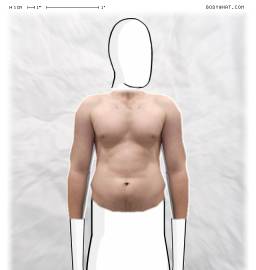 Torso