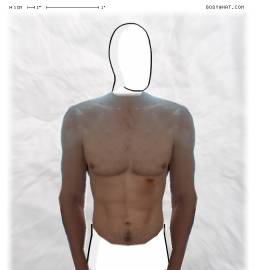 Torso
