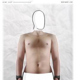 Torso