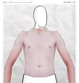 Torso