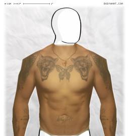 Torso