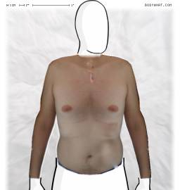 Torso