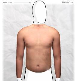 Torso