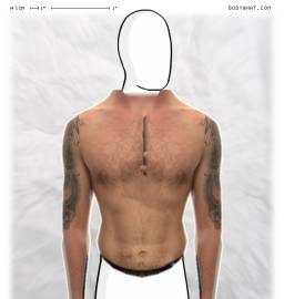 Torso