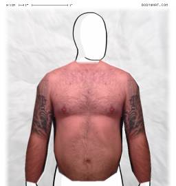 Torso