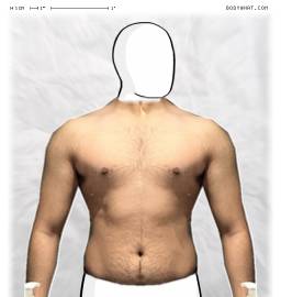 Torso
