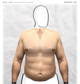 Torso
