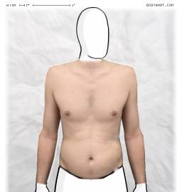 Torso