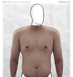 Torso