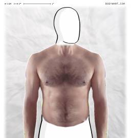 Torso