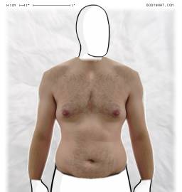 Torso