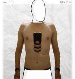 Torso