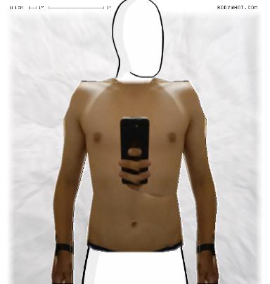 Muscle Morphing