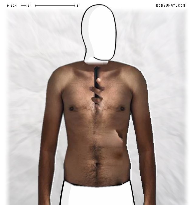 Picture 1