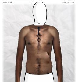 Torso