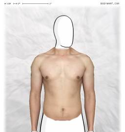 Torso