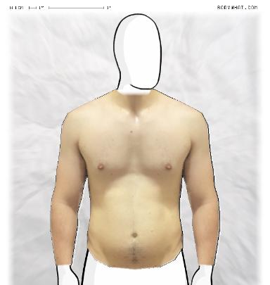 Muscle Morphing