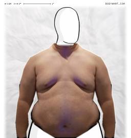 Torso