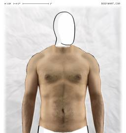Torso