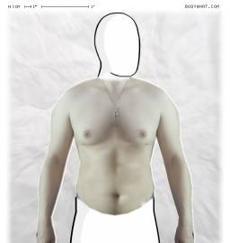Torso