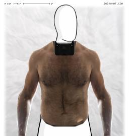Torso