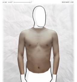 Torso