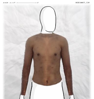 Muscle Morphing