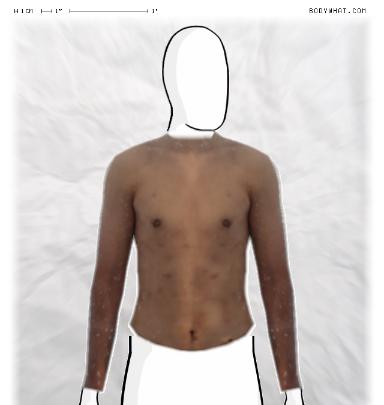 Slim Morphing