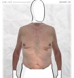 Torso