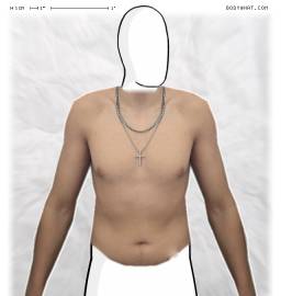 Torso